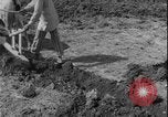 Image of plowing Greece farm Greece, 1962, second 13 stock footage video 65675078543