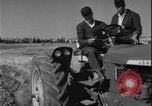 Image of plowing Greece farm Greece, 1962, second 18 stock footage video 65675078543