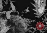 Image of plowing Greece farm Greece, 1962, second 23 stock footage video 65675078543