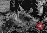 Image of plowing Greece farm Greece, 1962, second 24 stock footage video 65675078543