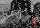 Image of plowing Greece farm Greece, 1962, second 25 stock footage video 65675078543