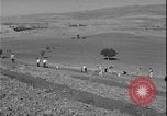 Image of plowing Greece farm Greece, 1962, second 34 stock footage video 65675078543