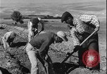 Image of plowing Greece farm Greece, 1962, second 36 stock footage video 65675078543