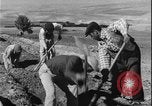 Image of plowing Greece farm Greece, 1962, second 37 stock footage video 65675078543
