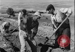 Image of plowing Greece farm Greece, 1962, second 38 stock footage video 65675078543