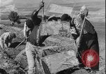 Image of plowing Greece farm Greece, 1962, second 40 stock footage video 65675078543