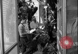Image of Lyndon B Johnson Crete Greece, 1962, second 40 stock footage video 65675078545
