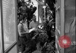 Image of Lyndon B Johnson Crete Greece, 1962, second 41 stock footage video 65675078545