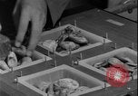 Image of Lyndon B Johnson Middle East Tehran Iran, 1962, second 12 stock footage video 65675078547