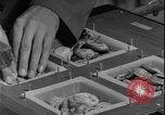 Image of Lyndon B Johnson Middle East Tehran Iran, 1962, second 14 stock footage video 65675078547