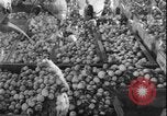 Image of Lyndon B Johnson Middle East Tehran Iran, 1962, second 26 stock footage video 65675078547