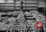 Image of Lyndon B Johnson Middle East Tehran Iran, 1962, second 29 stock footage video 65675078547