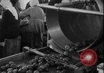 Image of Lyndon B Johnson Middle East Tehran Iran, 1962, second 39 stock footage video 65675078547