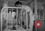Image of Lady Bird Johnson Ankara Turkey, 1962, second 29 stock footage video 65675078549