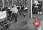 Standbild Lyndon B Johnson Thessaloniki Griechenland, 1962, aus Sekunde 32 historischem Filmmaterial Videoclip 65675078552