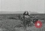 Image of slavery raid Kuruman South Africa, 1925, second 21 stock footage video 65675078553