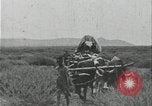 Image of slavery raid Kuruman South Africa, 1925, second 23 stock footage video 65675078553