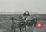Image of slavery raid Kuruman South Africa, 1925, second 24 stock footage video 65675078553