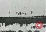 Image of slavery raid Kuruman South Africa, 1925, second 45 stock footage video 65675078553