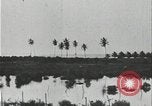 Image of slavery raid Kuruman South Africa, 1925, second 46 stock footage video 65675078553