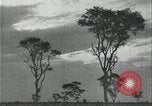 Image of slavery raid Kuruman South Africa, 1925, second 51 stock footage video 65675078553