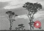 Image of slavery raid Kuruman South Africa, 1925, second 52 stock footage video 65675078553