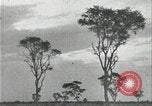 Image of slavery raid Kuruman South Africa, 1925, second 53 stock footage video 65675078553