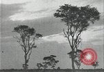 Image of slavery raid Kuruman South Africa, 1925, second 54 stock footage video 65675078553