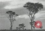 Image of slavery raid Kuruman South Africa, 1925, second 55 stock footage video 65675078553
