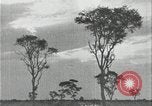 Image of slavery raid Kuruman South Africa, 1925, second 56 stock footage video 65675078553