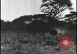 Standbild David Livingstone Afrika Kuruman Südafrika, 1925, aus Sekunde 31 historischem Filmmaterial Videoclip 65675078556