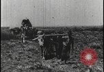 Image of David Livingstone Botswana, 1925, second 6 stock footage video 65675078559
