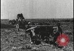 Image of David Livingstone Botswana, 1925, second 7 stock footage video 65675078559