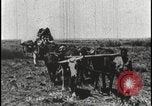 Image of David Livingstone Botswana, 1925, second 8 stock footage video 65675078559