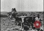 Image of David Livingstone Botswana, 1925, second 9 stock footage video 65675078559