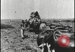 Image of David Livingstone Botswana, 1925, second 15 stock footage video 65675078559