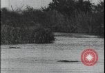 Image of David Livingstone Mozambique, 1925, second 20 stock footage video 65675078563