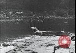 Image of David Livingstone Mozambique, 1925, second 61 stock footage video 65675078563