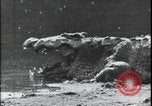 Image of David Livingstone Mozambique, 1925, second 62 stock footage video 65675078563