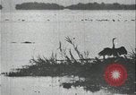 Standbild David Livingstone Afrika, 1925, aus Sekunde 32 historischem Filmmaterial Videoclip 65675078569