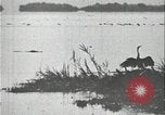 Standbild David Livingstone Afrika, 1925, aus Sekunde 33 historischem Filmmaterial Videoclip 65675078569