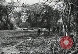 Standbild David Livingstone Tansania, 1925, aus Sekunde 3 historischem Filmmaterial Videoclip 65675078570