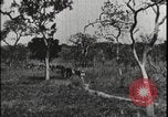 Image of David Livingstone Tanzania East Africa, 1925, second 49 stock footage video 65675078572