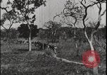 Image of David Livingstone Tanzania East Africa, 1925, second 50 stock footage video 65675078572