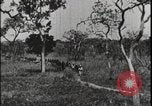Image of David Livingstone Tanzania East Africa, 1925, second 51 stock footage video 65675078572