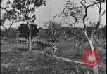 Image of David Livingstone Tanzania East Africa, 1925, second 52 stock footage video 65675078572