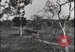 Image of David Livingstone Tanzania East Africa, 1925, second 53 stock footage video 65675078572