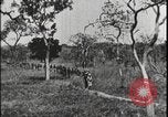 Image of David Livingstone Tanzania East Africa, 1925, second 54 stock footage video 65675078572