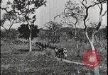 Image of David Livingstone Tanzania East Africa, 1925, second 56 stock footage video 65675078572