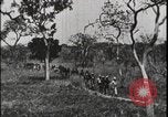 Image of David Livingstone Tanzania East Africa, 1925, second 58 stock footage video 65675078572